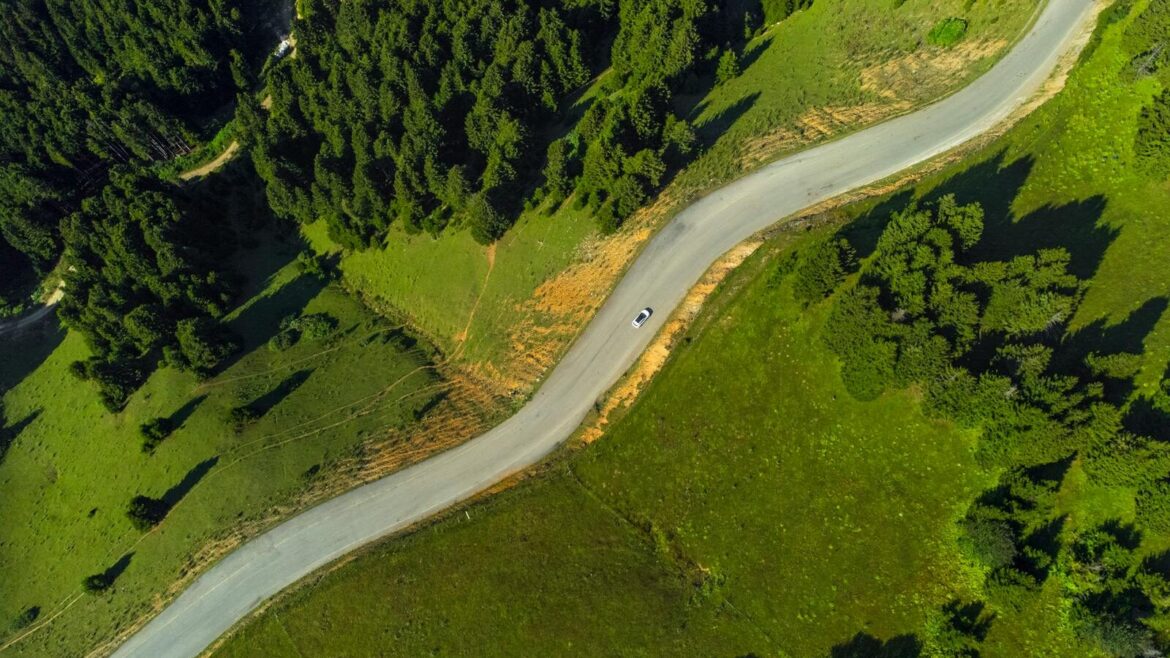 Aerial photograph showcasing a winding road amidst a lush green forest, highlighting natural beauty.